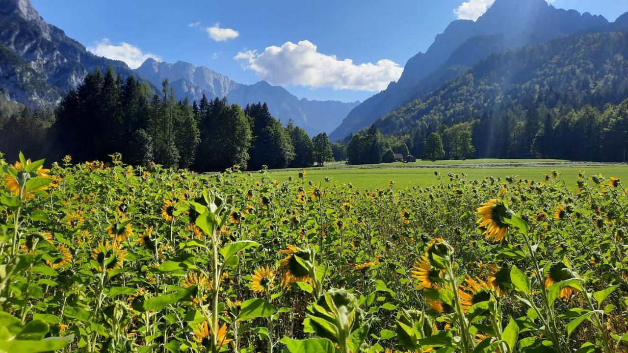 Апартаменти House Godec - Ratece Planica Кранська Гора Екстер'єр фото