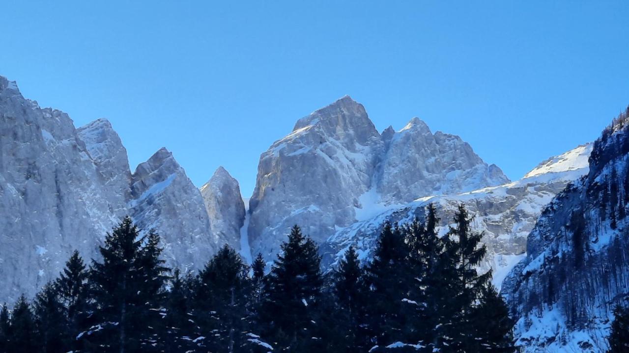 Апартаменти House Godec - Ratece Planica Кранська Гора Екстер'єр фото